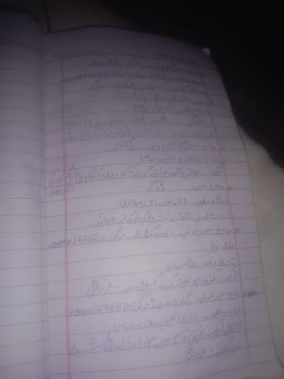 professional assignment writing
