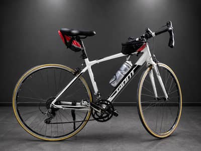 giant bicycle use condition 10 by 10