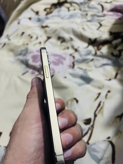 Apple iPhone 12 Pro