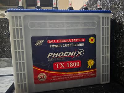 4 phoenix tubular battery
