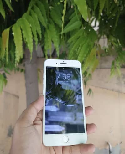 7 plus Just call