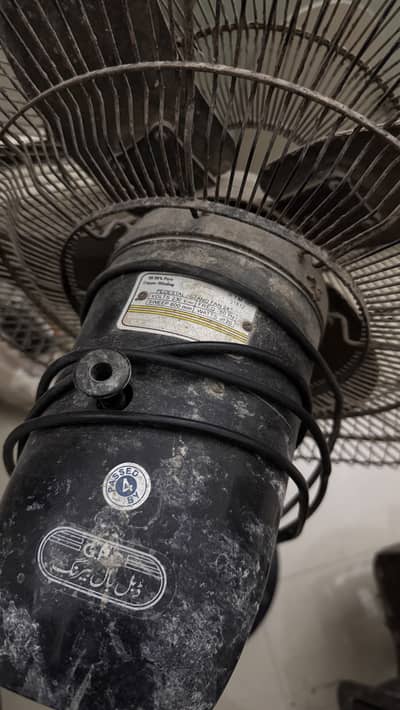 Gfc stand fan