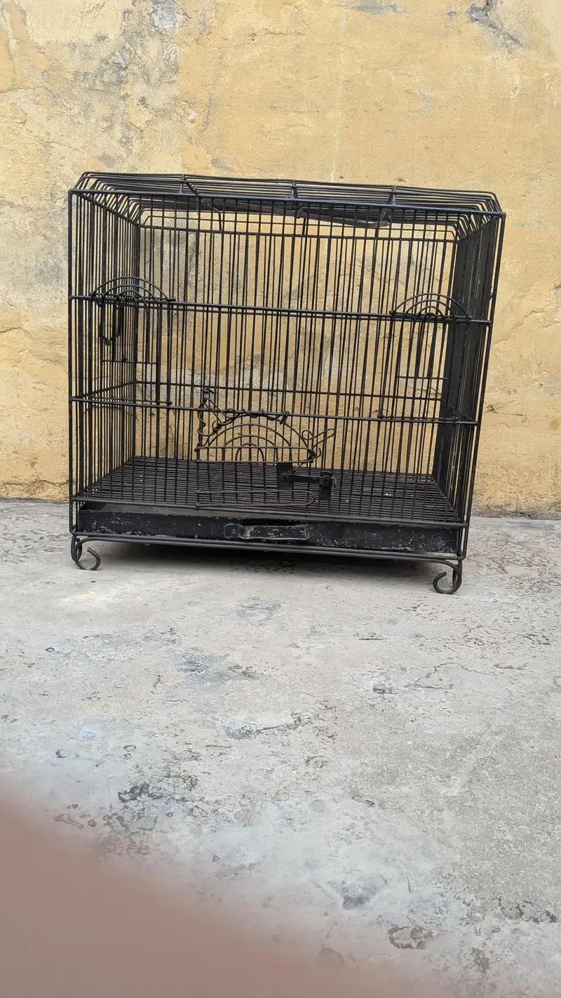 hen cage — photo 2