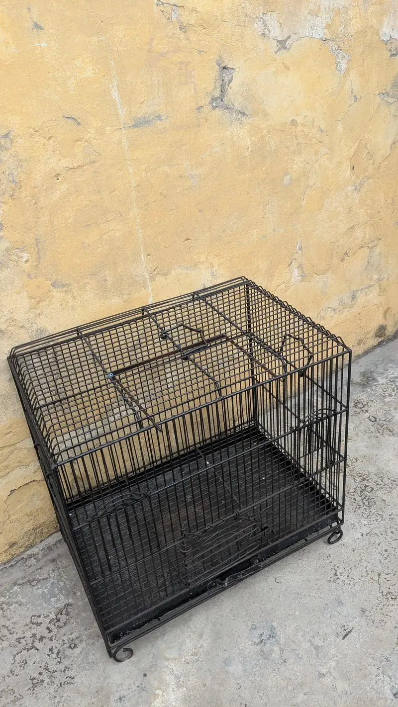 hen cage — photo 3