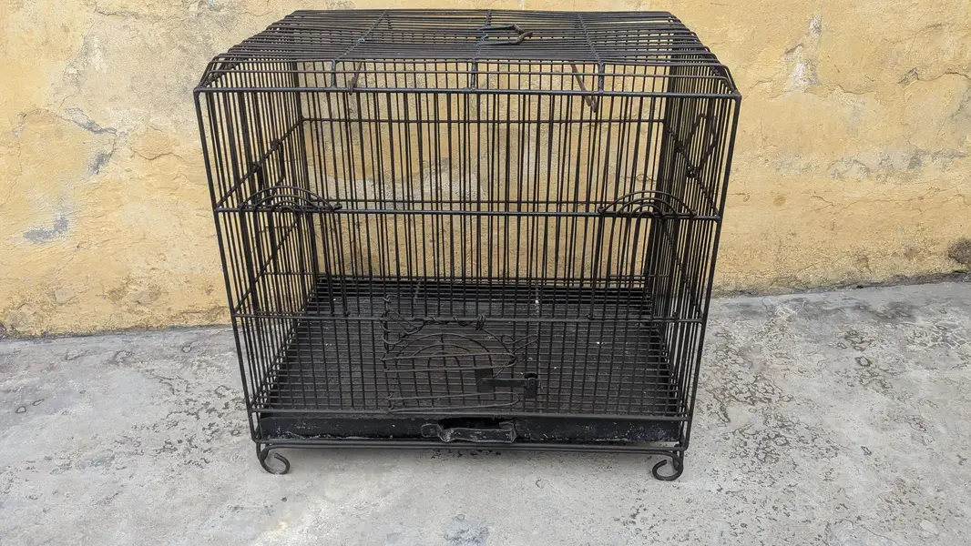 hen cage — photo 4