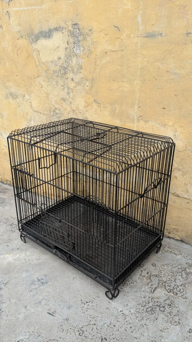 hen cage — photo 5