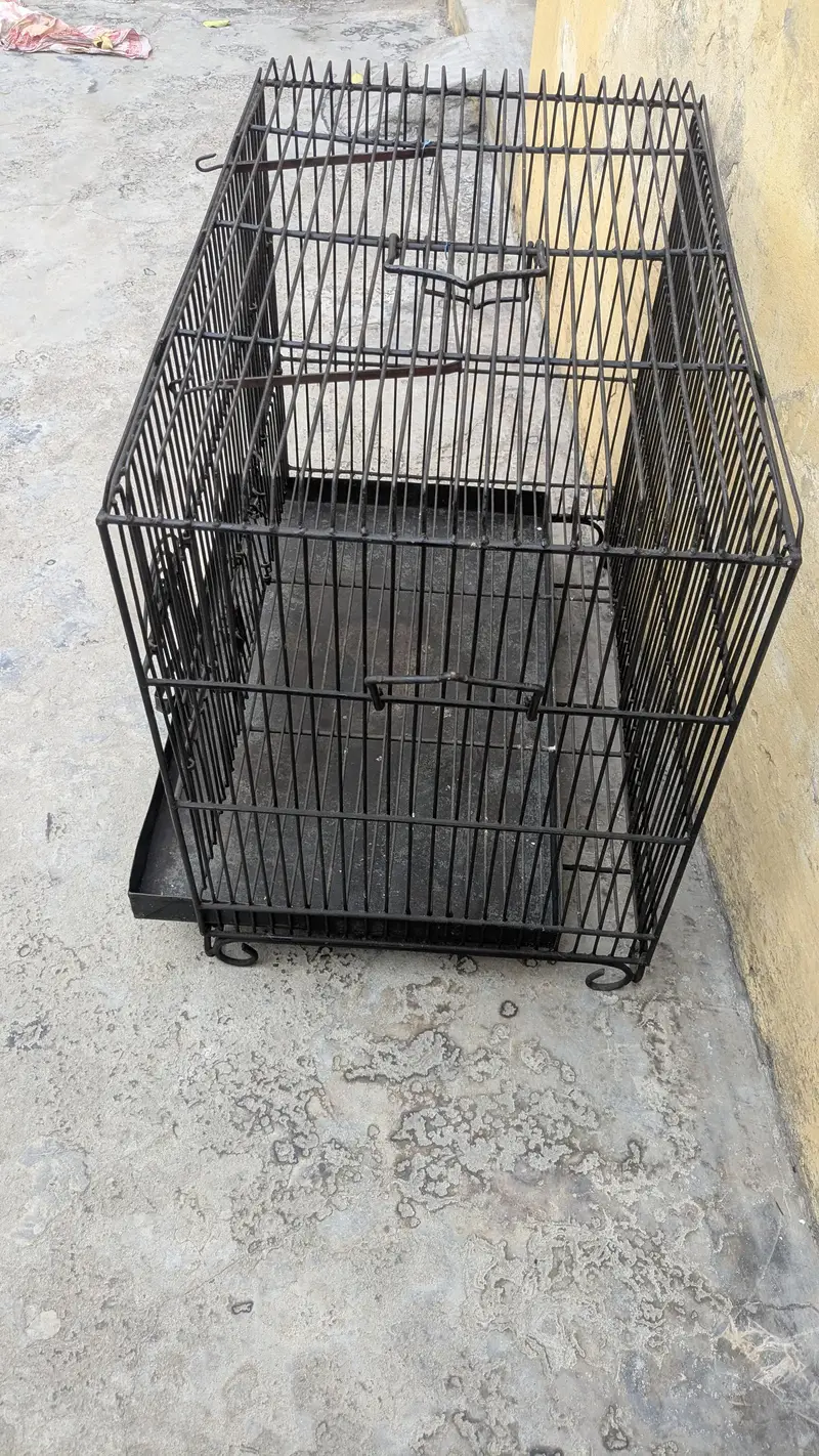 hen cage — photo 6