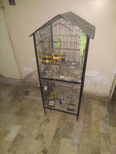 cages
