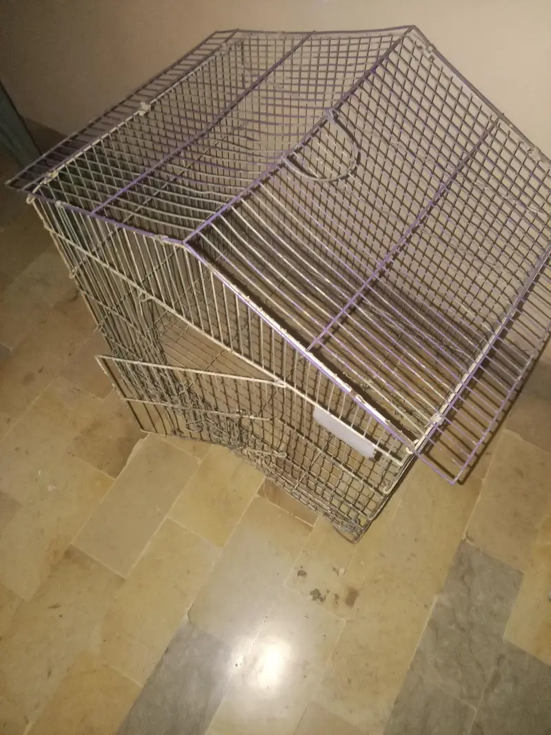 cages — photo 3
