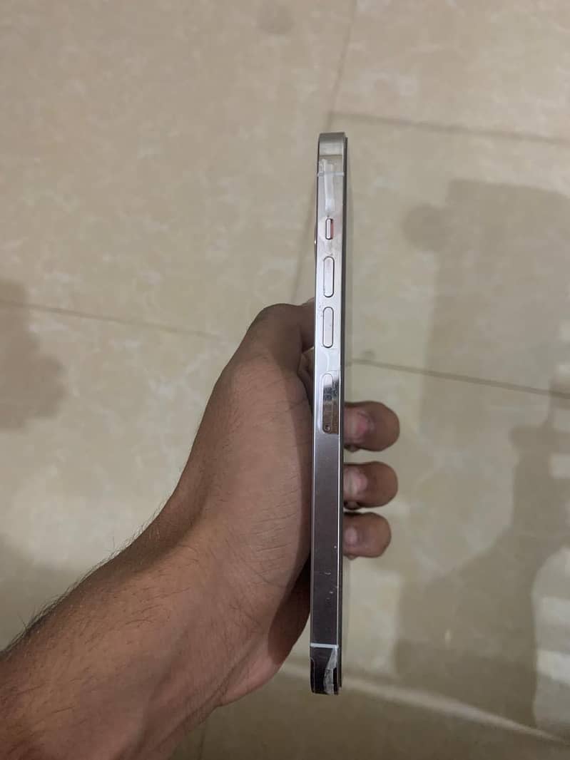 Apple iPhone 13 Pro Max 1