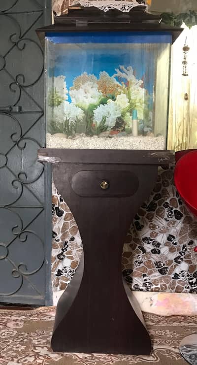 FISH AQUARIUM