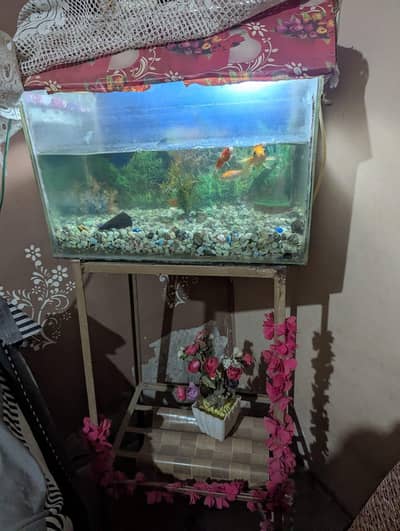 Aquarium Urgent sell