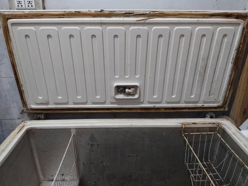 Freezer 4
