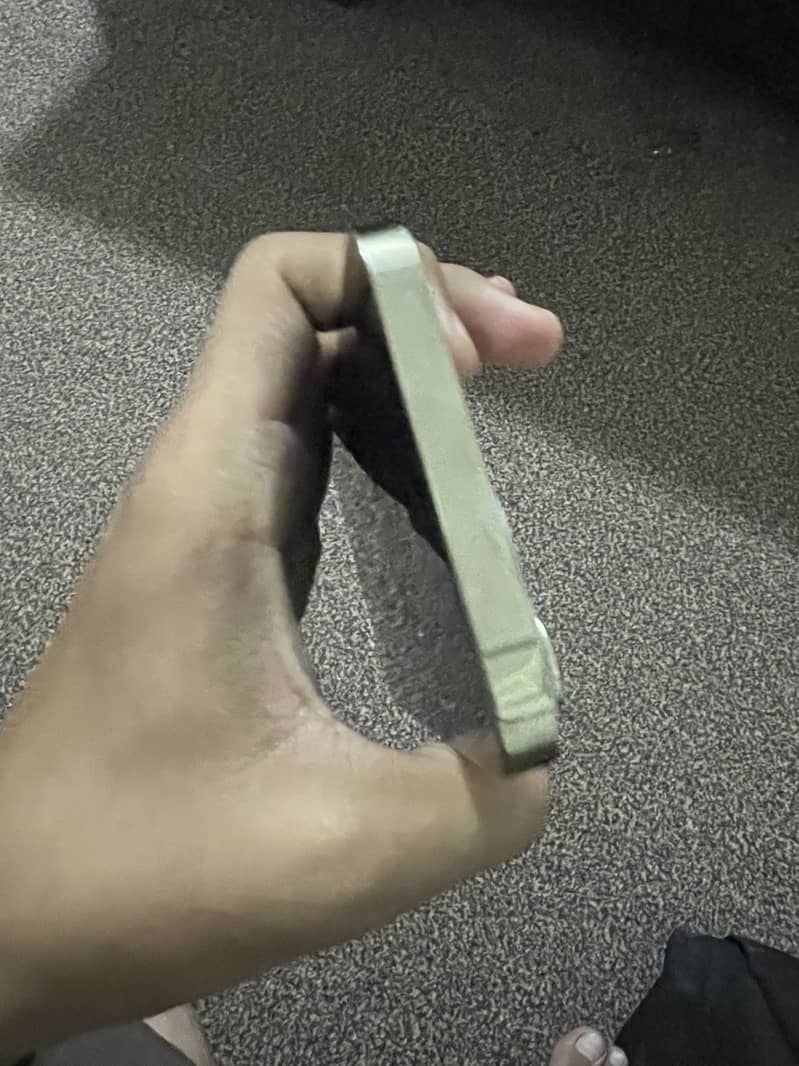 Apple iPhone 13 pro max 1
