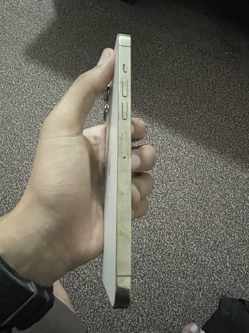 Apple iPhone 13 pro max 2
