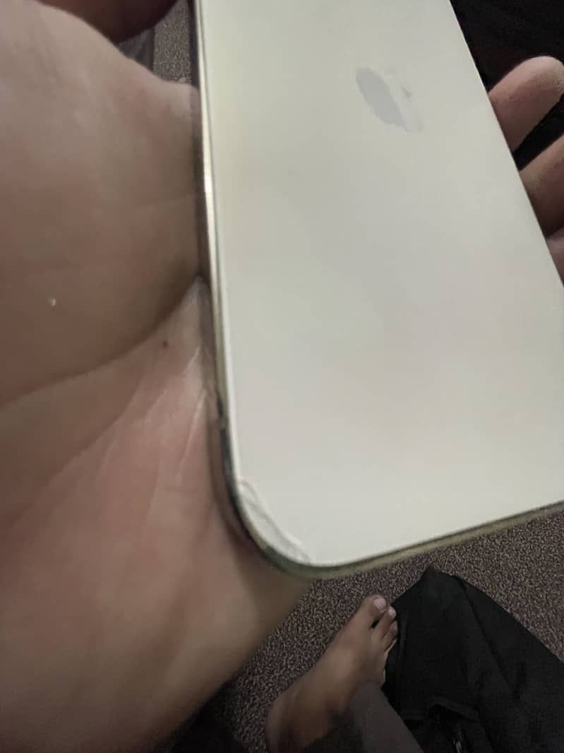 Apple iPhone 13 pro max 4