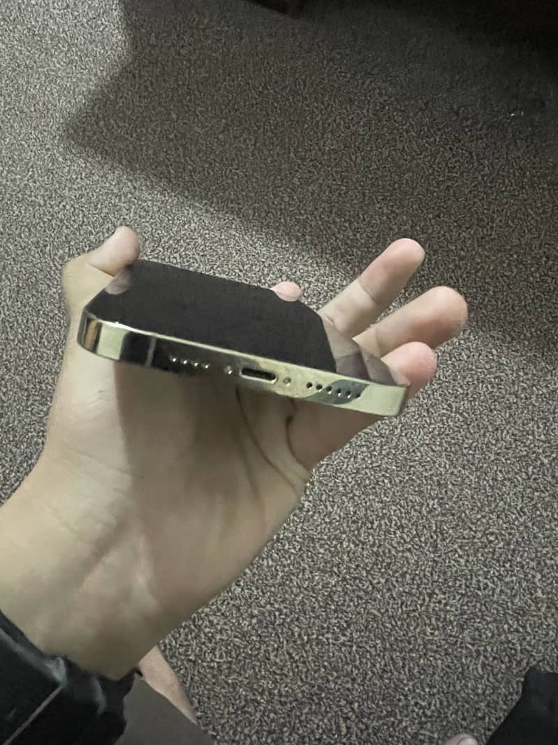 Apple iPhone 13 pro max 5