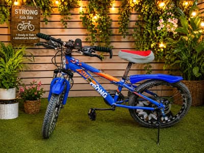 Mountain bicycle