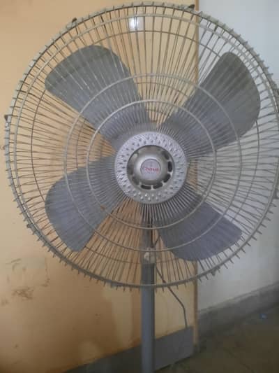 Chenab Pedestal Fan