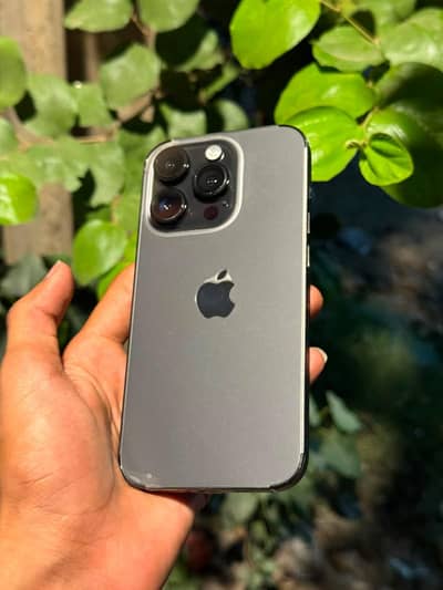 iPhone 14 pro FU 256gb 84% health