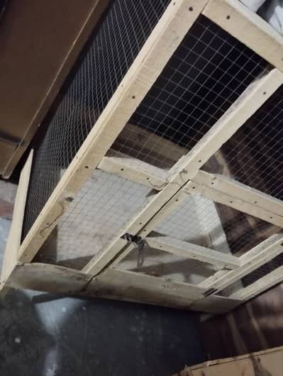 animals pet birds cages