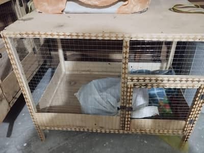 animals pet birds cages
