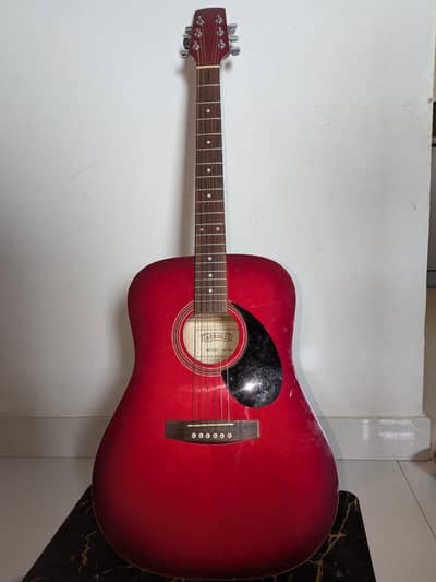 Guitar for sale