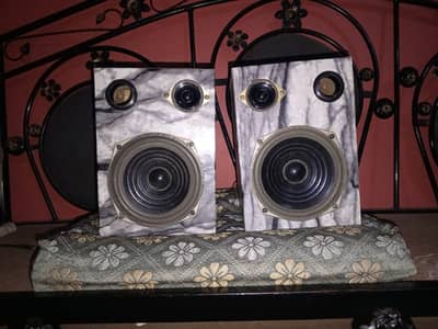 6 inches speaker's