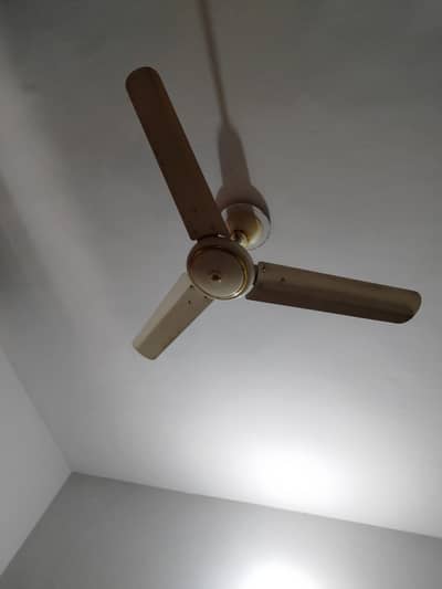 Ceiling Fan