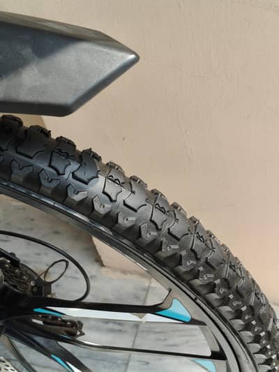 BEGOOD MTB-800 Bicycle in Lush condition
