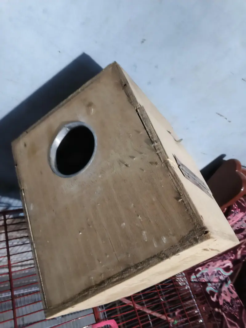 cocktail breeding box — photo 2