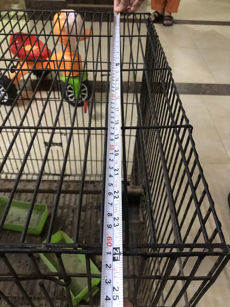 Heavy Duty Black Parrot Cage 2x2x2 Feet - Good Condition — photo 2