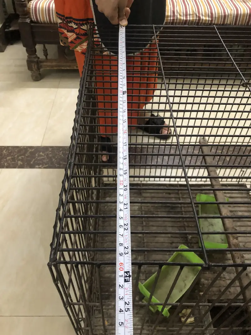 Heavy Duty Black Parrot Cage 2x2x2 Feet - Good Condition — photo 3