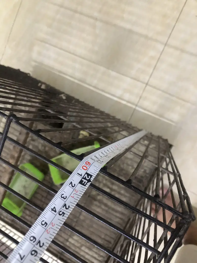 Heavy Duty Black Parrot Cage 2x2x2 Feet - Good Condition — photo 4
