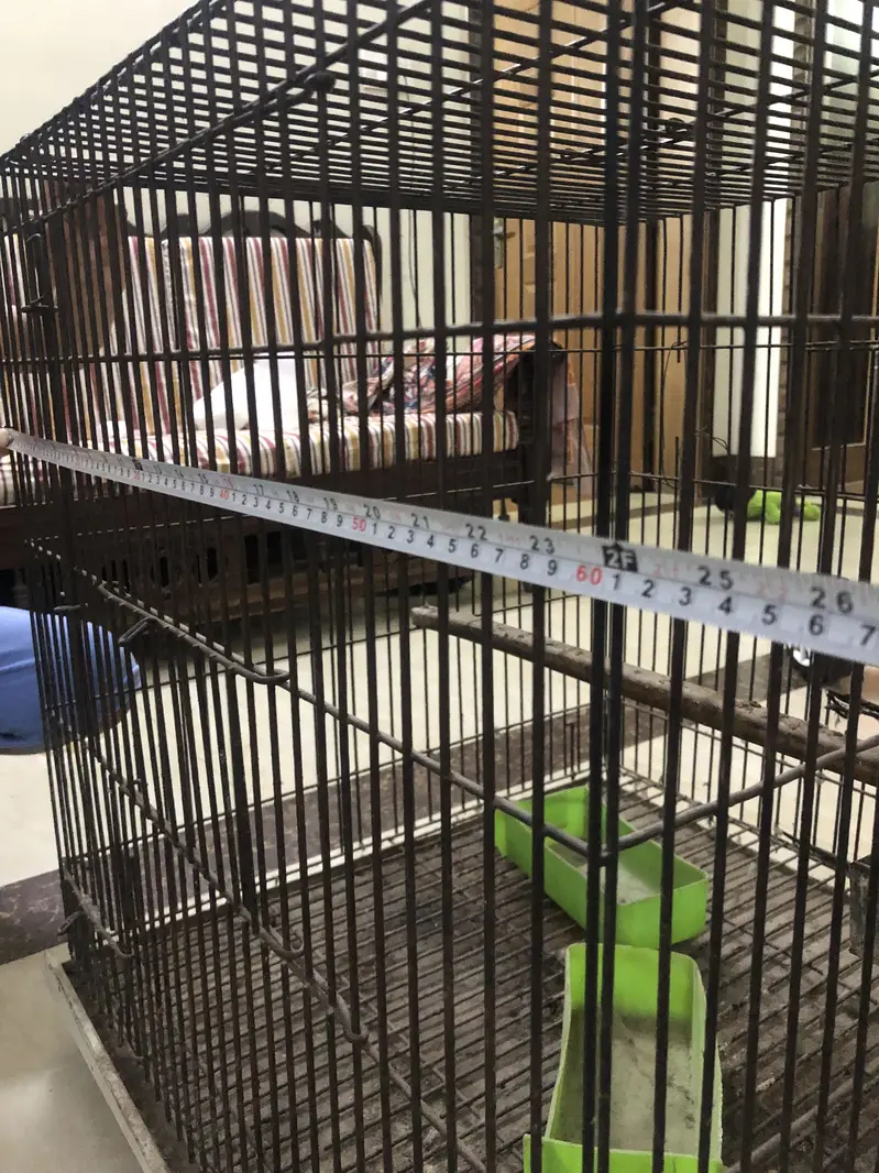 Heavy Duty Black Parrot Cage 2x2x2 Feet - Good Condition — photo 5