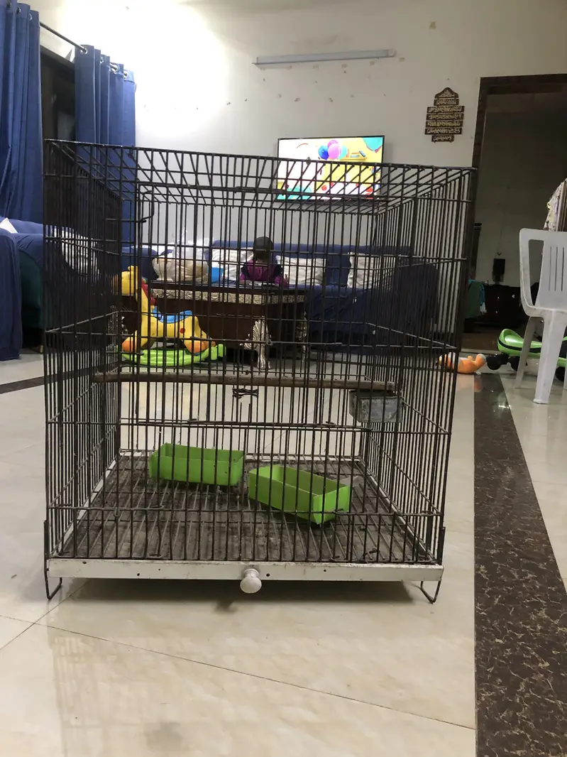 Heavy Duty Black Parrot Cage 2x2x2 Feet - Good Condition — photo 6