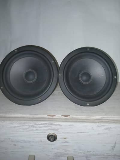 Polk Audio Woofers