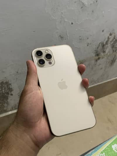 Iphone 12 pro max pta approved