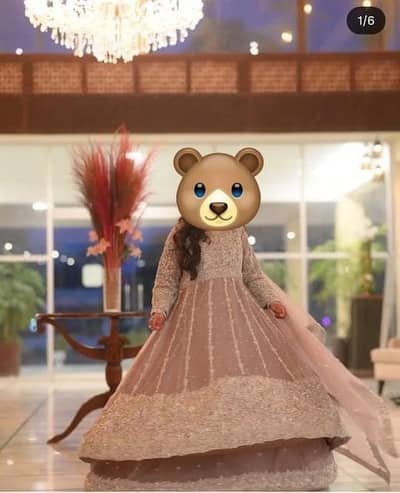 Walima dress for sale_ Nude Embroidered Maxi