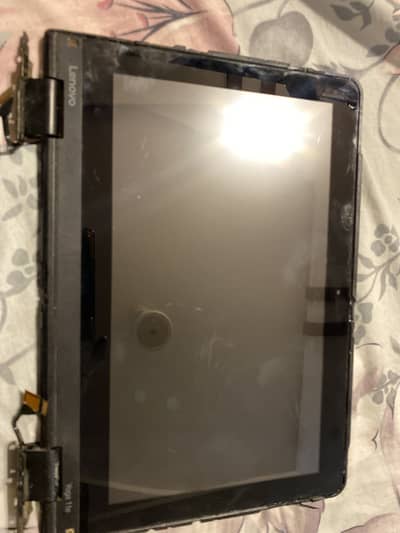 Display of yoga 11e