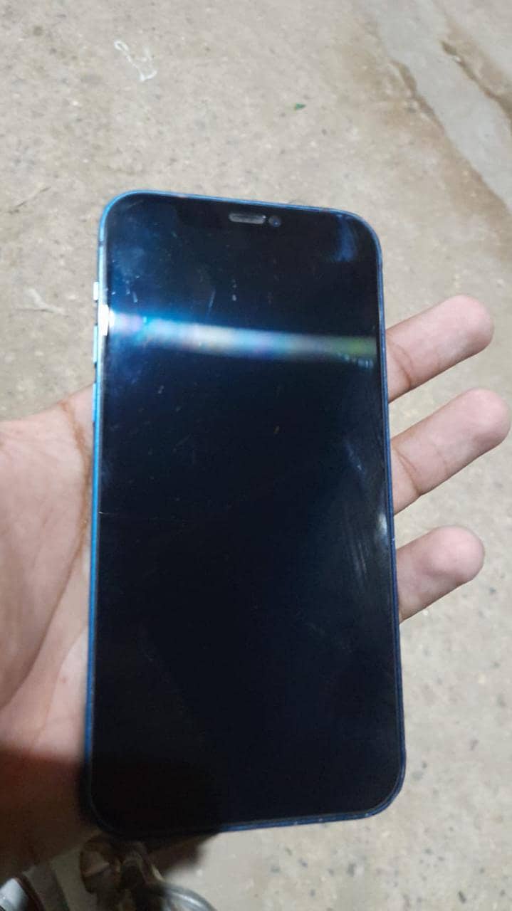 Apple iPhone 12 1