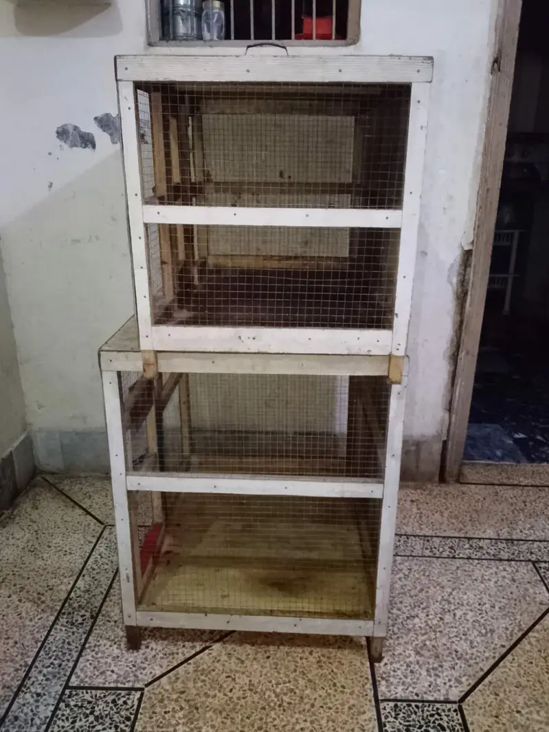 BEST FOR CHICKS AND HENS CONTACT NO. 03180039211 — photo 4