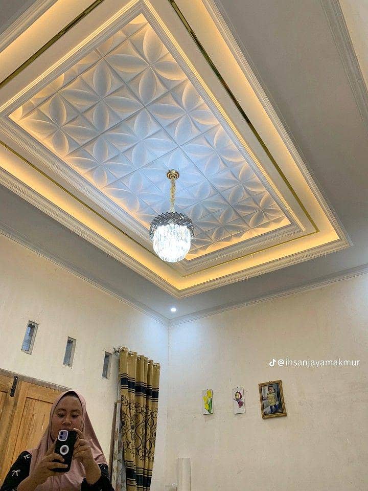 home ceiling 1