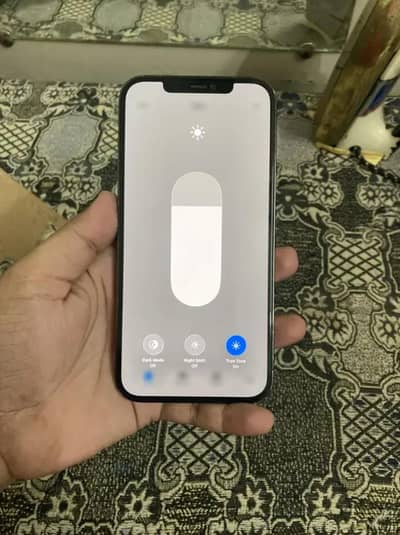 12 Pro Max 03174821236