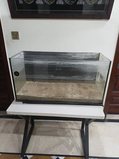 fish aquarium