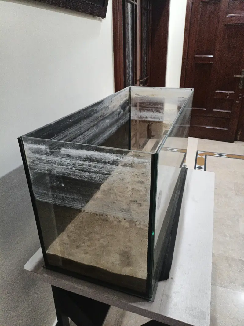fish aquarium — photo 2