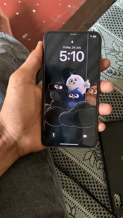 Ip xs max golden colour