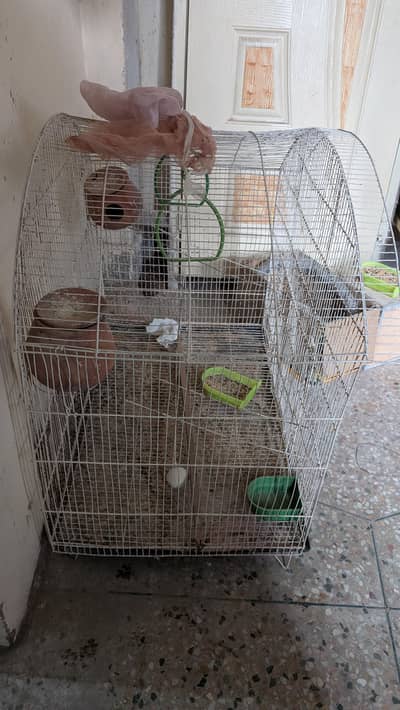 Big Cage And 4 kujjas For Parrots