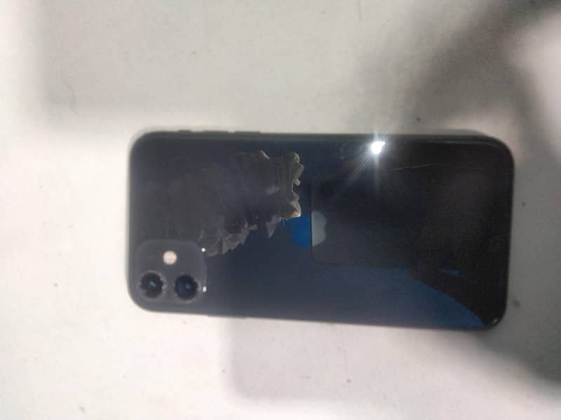 Apple iPhone 11 0