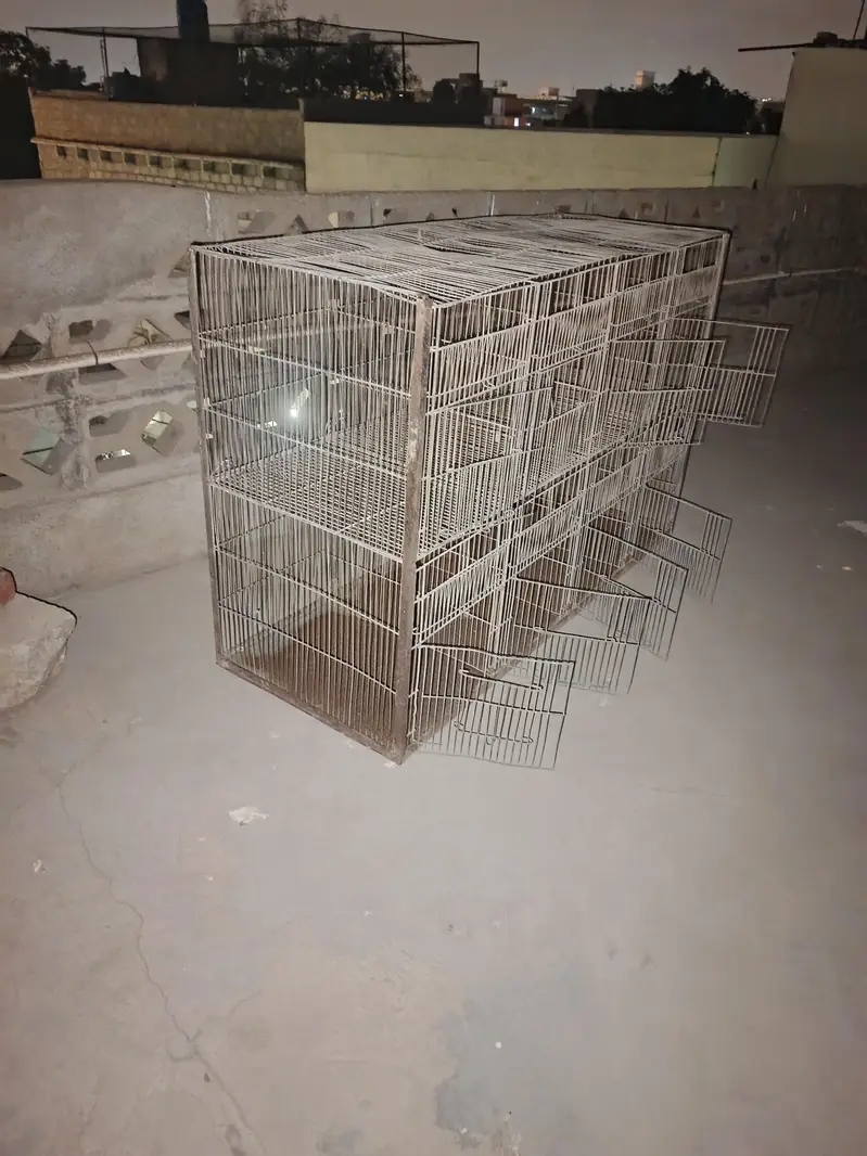 2 Cages for birds — photo 2